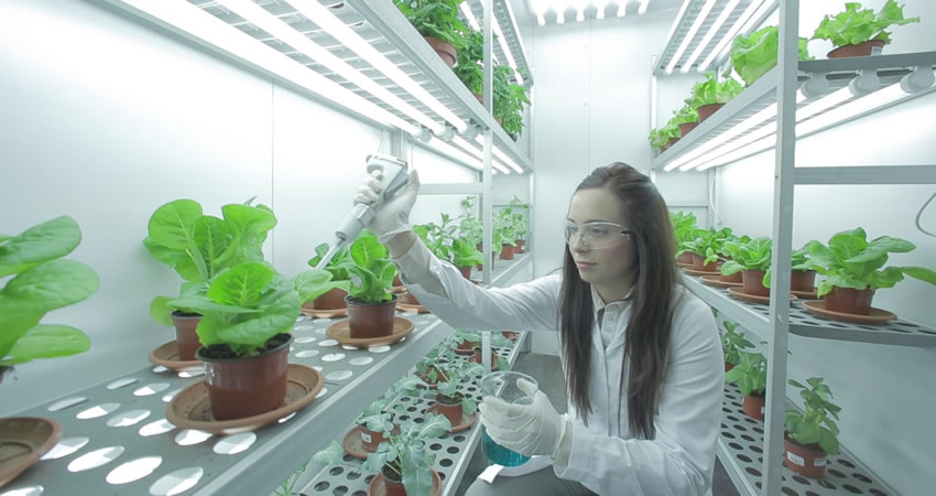 Centre de Recherche SERVALESA Espagne