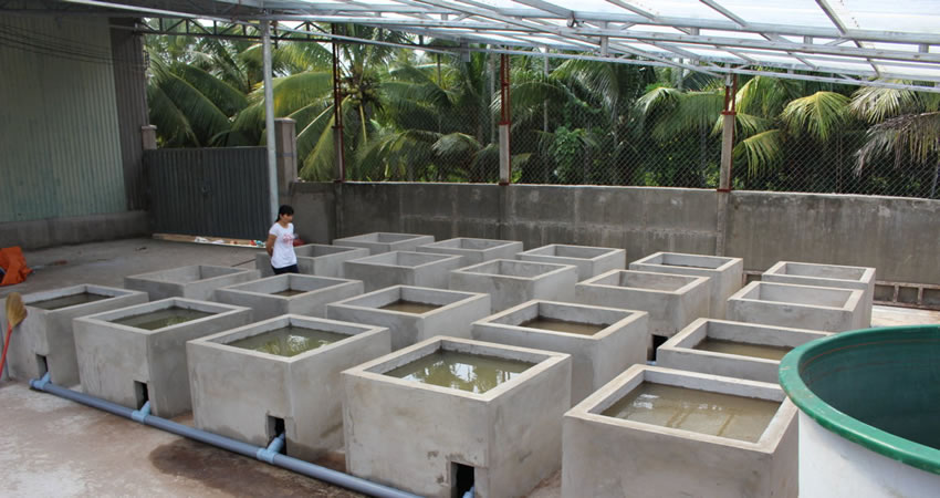 DE SANGOSSE BENTRE VIETNAM