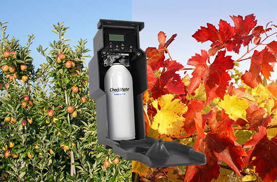 checkmate-puffer-insecticide-vigne-arboriculture-de-sangosse-1 | DE ...